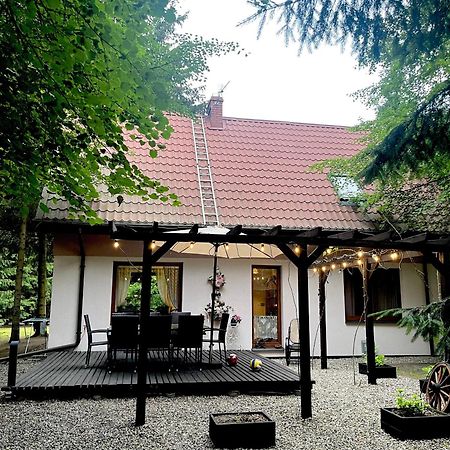 Sielanka Kretowiny Villa Kültér fotó